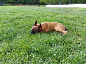 96791604 1549851291885604 235018123651055616 n