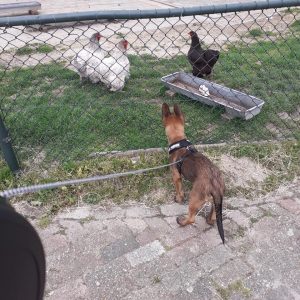 96792476 1510842275765010 8703193571085254656 n 1