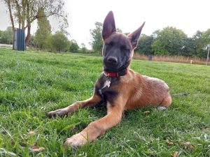 96806730 1549851175218949 494201369691947008 n 1