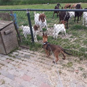 97096468 1510842335765004 606987451403075584 n 1