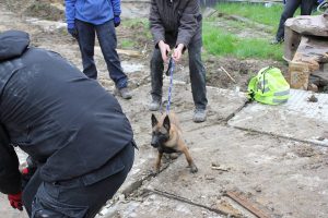 971008 515649415149022 1653696334 n