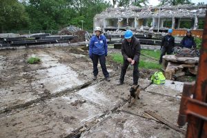 971556 515649468482350 323837989 n