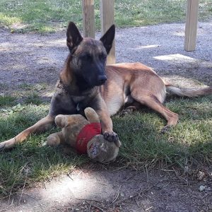 99142026 2631979980392587 612732966593888256 n