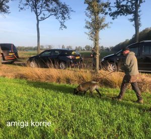 FB IMG 1667141992035