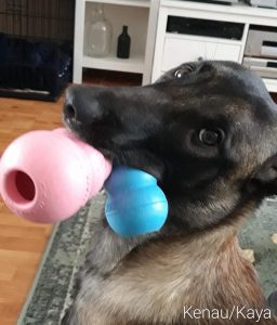 FB IMG 1674397906814