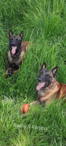 FB IMG 1684914208558