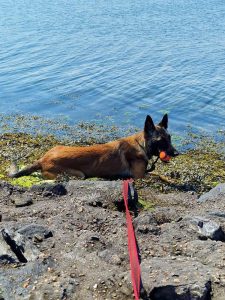 FB IMG 1686410188394