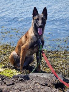 FB IMG 1687611788650