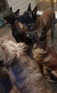 FB IMG 1687612304164