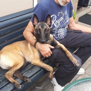 FB IMG 1691877462402