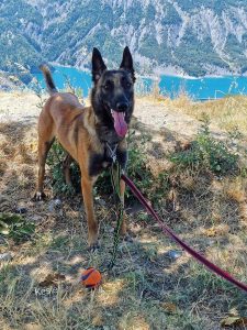 FB IMG 1691962951984 1