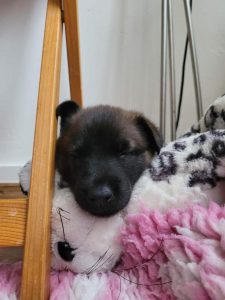 FB IMG 1720819803012