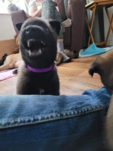 FB IMG 1720819834636