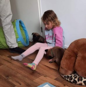 FB IMG 1720906480615