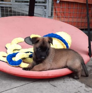 FB IMG 1720906495878