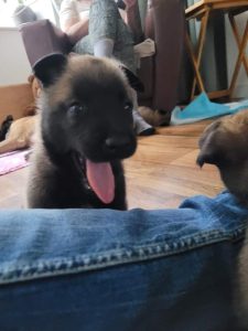 FB IMG 1720906504056