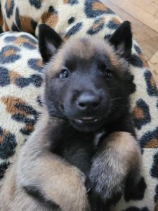 FB IMG 1720906512285