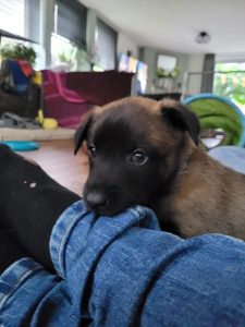 FB IMG 1720906519794