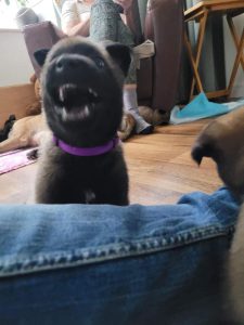 FB IMG 1720906526784