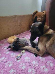 FB IMG 1720906533815