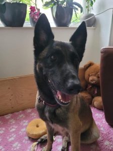 FB IMG 1720906549764