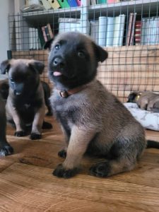 FB IMG 1720906565550