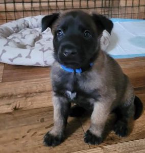 FB IMG 1720906574041