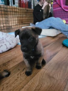 FB IMG 1720906582662