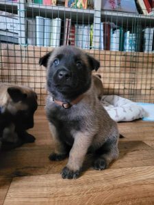 FB IMG 1720906591755