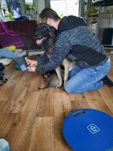 FB IMG 1720906628275