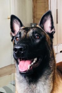 IMG-20180105-WA0000 - kopie