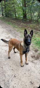 IMG-20210511-WA0000 2