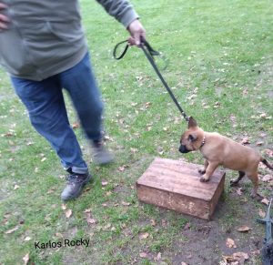 IMG-20220123-WA0000 1