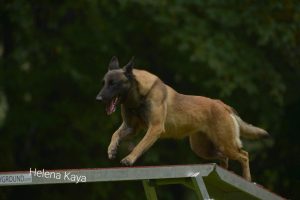 IMG-20231119-WA00171