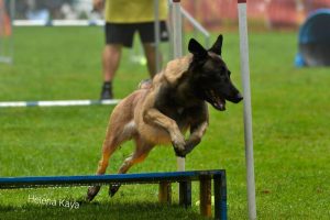 IMG-20231119-WA00191