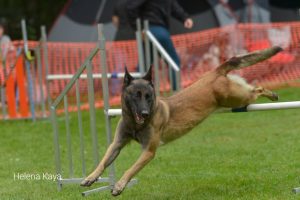 IMG-20231119-WA00201