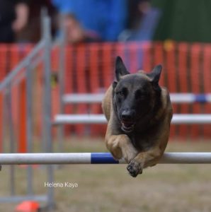 IMG-20231119-WA00211