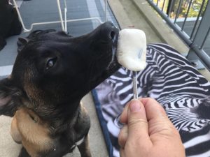 IMG 20190623 164727 799