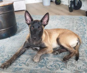 IMG 20190706 163050 937