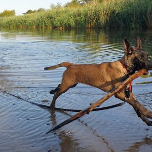 IMG 20190707 082621 218