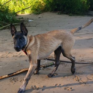 IMG 20190707 145826 004