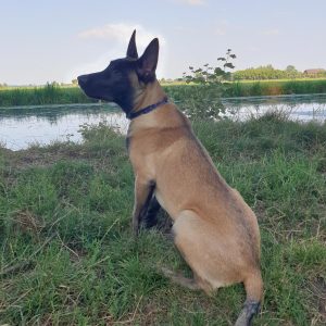 IMG 20190729 185545 926