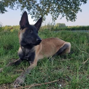 IMG 20190729 185816 814